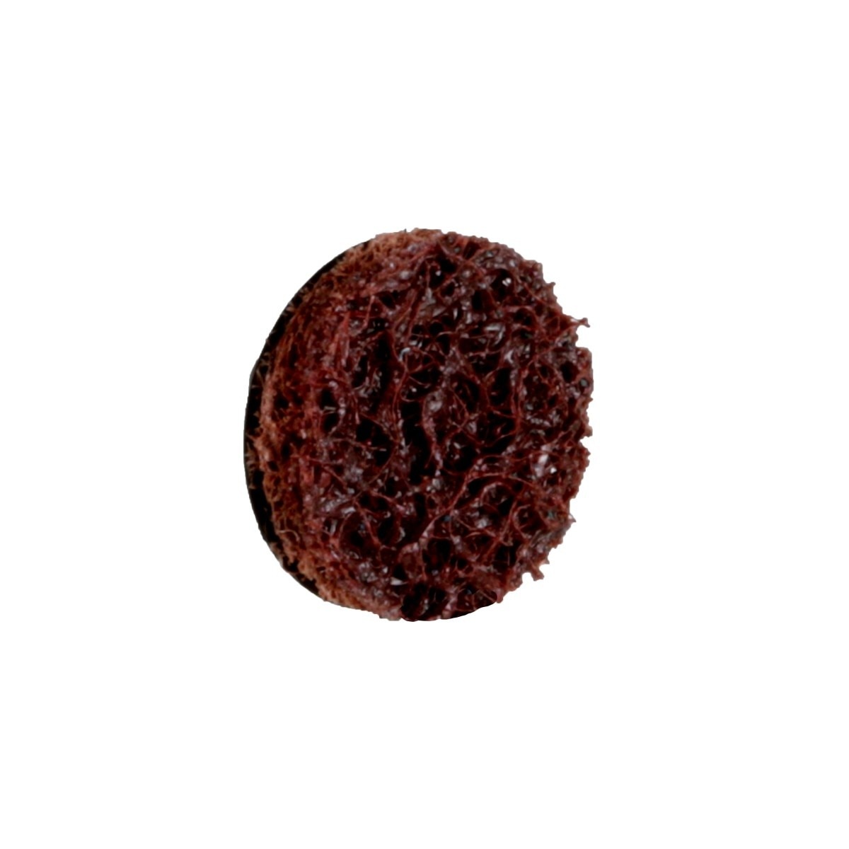 3M PN-DR Scotch-Brite Roloc Precision Surface Conditioning Disc, TR, Coarse, Precision Shaped Ceramic Nonwoven Fiber, Brown, 1 in, Dispenser Pack (89320) (7100271028) - (200Pack) - 5