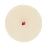 3M 07502 Scotch-Brite Molding Adhesive and Stripe Removal Disc, 6 in x 3/8 in (7000045950)  - (5Pack)