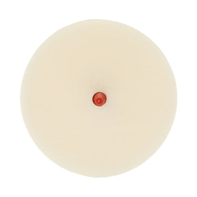 3M 07502 Scotch-Brite Molding Adhesive and Stripe Removal Disc, 6 in x 3/8 in (7000045950)  - (5Pack)