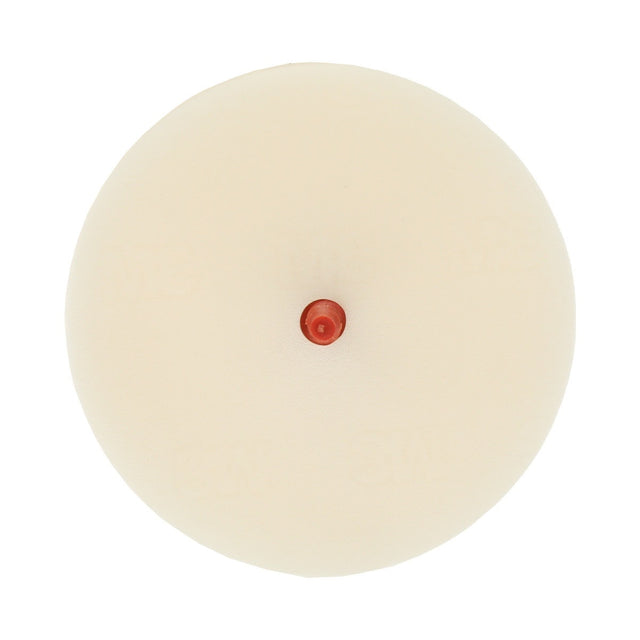 3M 07502 Scotch-Brite Molding Adhesive and Stripe Removal Disc, 6 in x 3/8 in (7000045950)  - (5Pack)