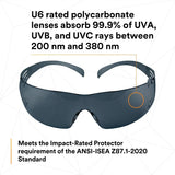 3M SF202AFP SecureFit Safety Glasses, Anti-Fog Plus Anti-Scratch, Gray Lens, Gray Frame (7100090616) (400 Pack) - 5