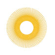 3M Scotch-Brite Radial Bristle Brush Replacement Disc T-A 80 Refill, 80 Grit, Yellow, 6 in, 6000 rpm (7100138194) (80 Pack)