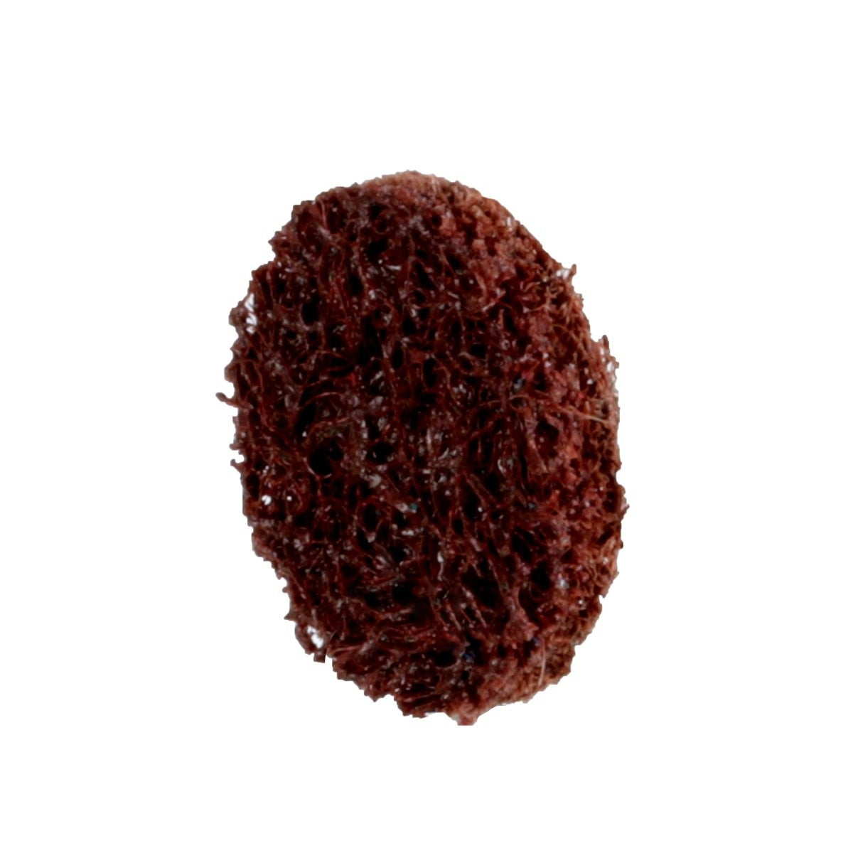 3M PN-DR 89271 Scotch-Brite Roloc Precision Surface Conditioning Disc TR Coarse Brown 3/4 in (7100263901)  - (200 Pack) - 4